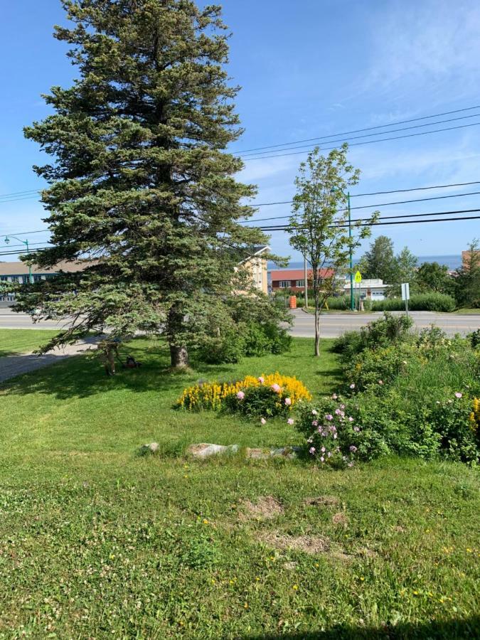 Gite Du Renard Gaspé Exterior photo